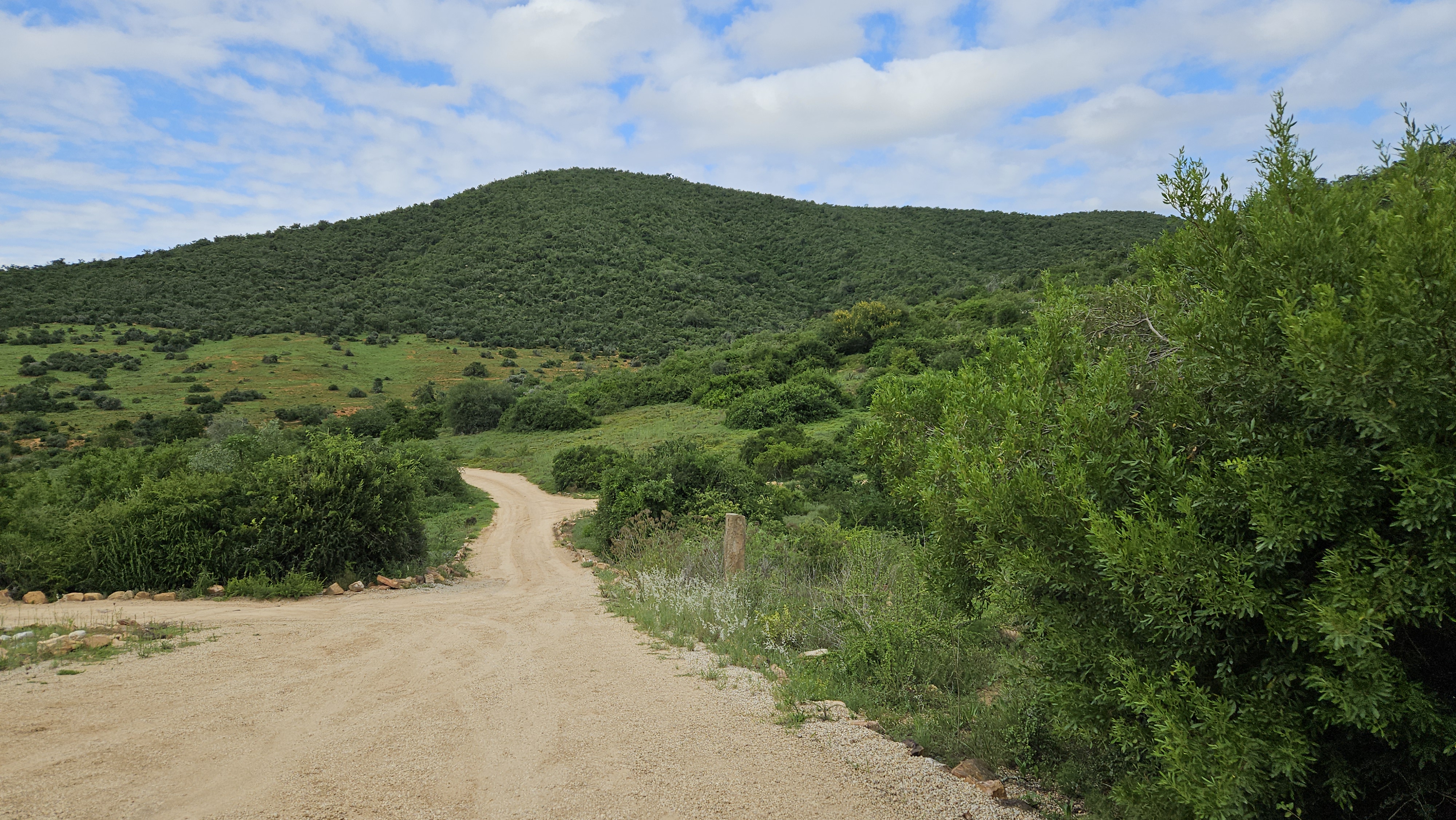 bye bye Nyathi Camp